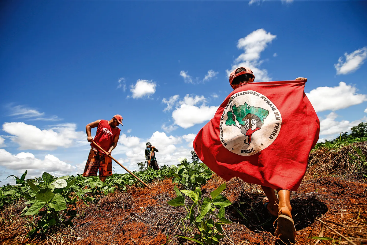 plantacao-mst-01.jpg